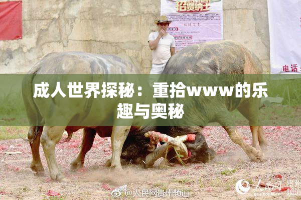 成人世界探秘：重拾www的乐趣与奥秘