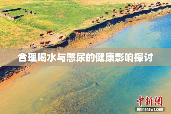 合理喝水与憋尿的健康影响探讨