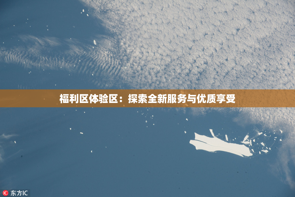 福利区体验区：探索全新服务与优质享受