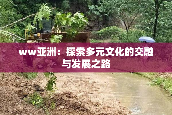 ww亚洲：探索多元文化的交融与发展之路