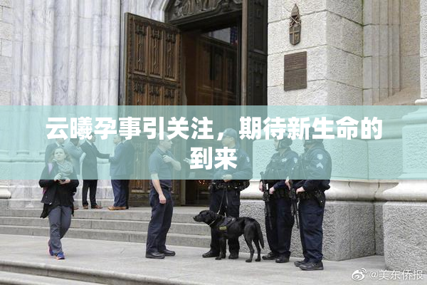 云曦孕事引关注，期待新生命的到来