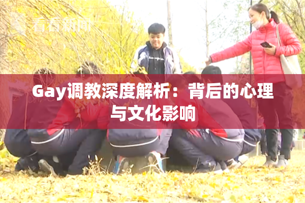Gay调教深度解析：背后的心理与文化影响