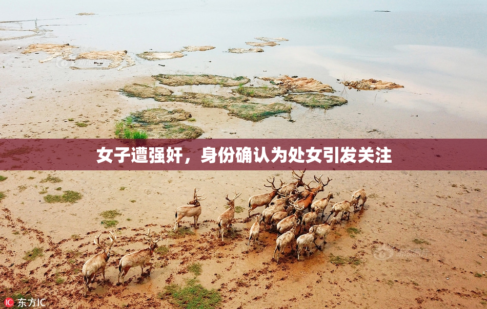女子遭强奸，身份确认为处女引发关注