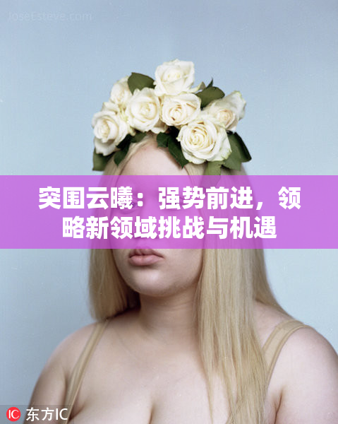 突围云曦：强势前进，领略新领域挑战与机遇