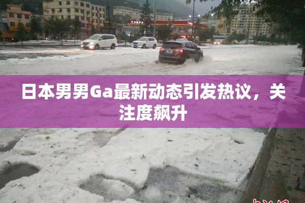 日本男男Ga最新动态引发热议，关注度飙升
