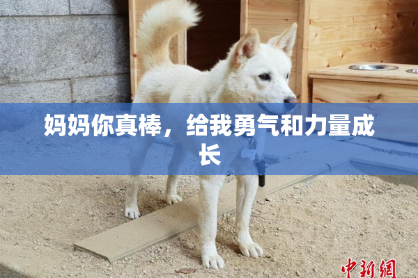 妈妈你真棒，给我勇气和力量成长