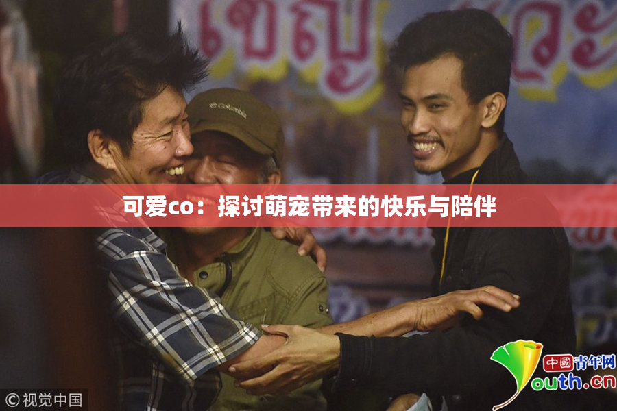 可爱co：探讨萌宠带来的快乐与陪伴