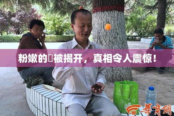 粉嫩的泬被揭开，真相令人震惊！