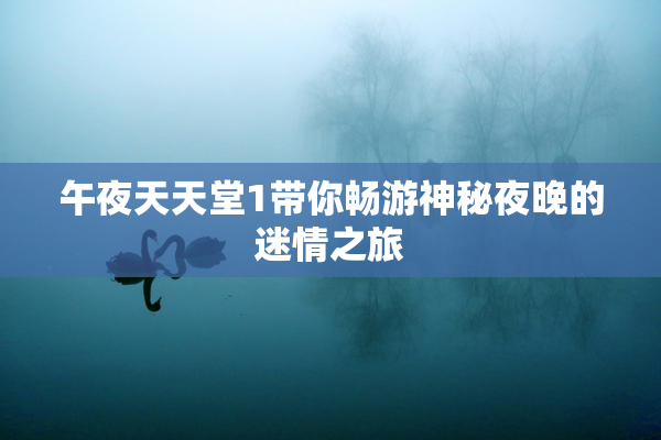 午夜天天堂1带你畅游神秘夜晚的迷情之旅
