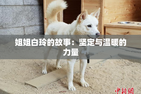 姐姐白玲的故事：坚定与温暖的力量