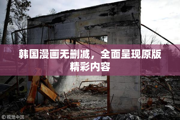 韩国漫画无删减，全面呈现原版精彩内容