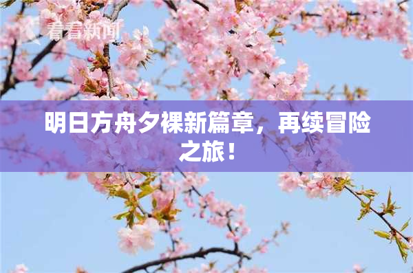 明日方舟夕裸新篇章，再续冒险之旅！