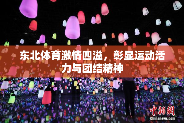 东北体育激情四溢，彰显运动活力与团结精神