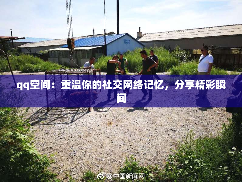 qq空间：重温你的社交网络记忆，分享精彩瞬间