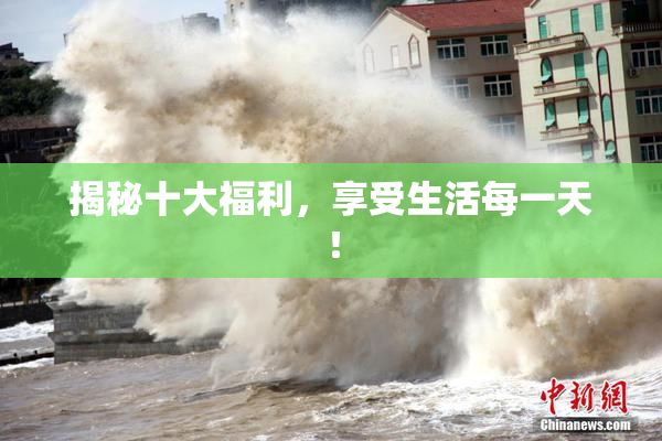 揭秘十大福利，享受生活每一天！
