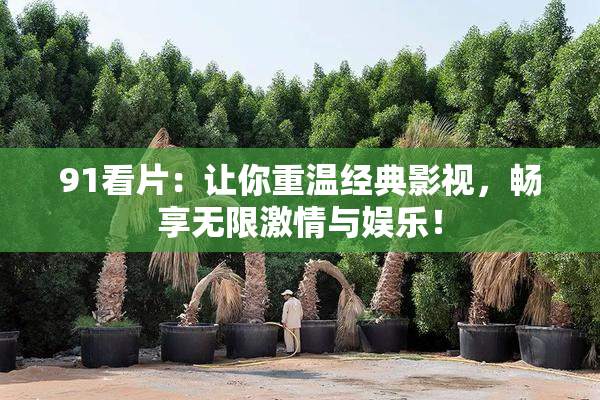 91看片：让你重温经典影视，畅享无限激情与娱乐！