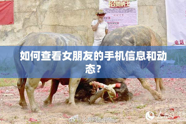 如何查看女朋友的手机信息和动态？