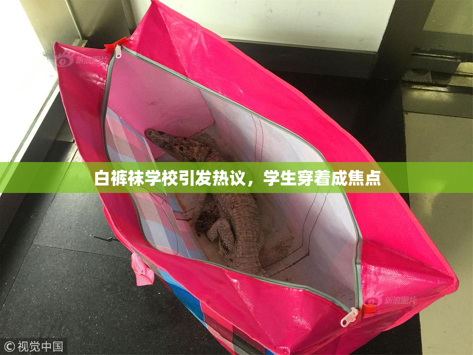 白裤袜学校引发热议，学生穿着成焦点