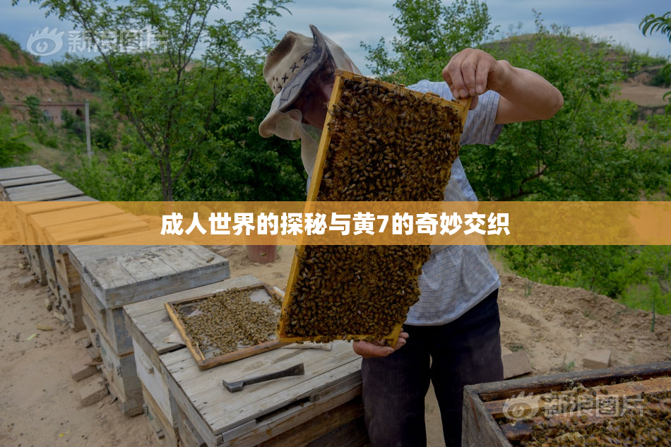 成人世界的探秘与黄7的奇妙交织