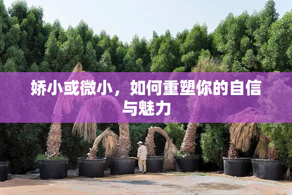 娇小或微小，如何重塑你的自信与魅力