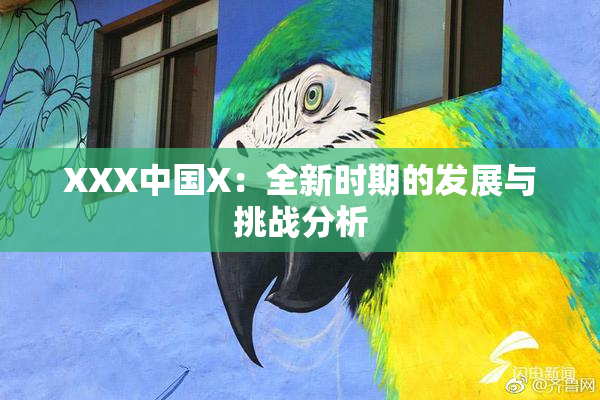 XXX中国X：全新时期的发展与挑战分析