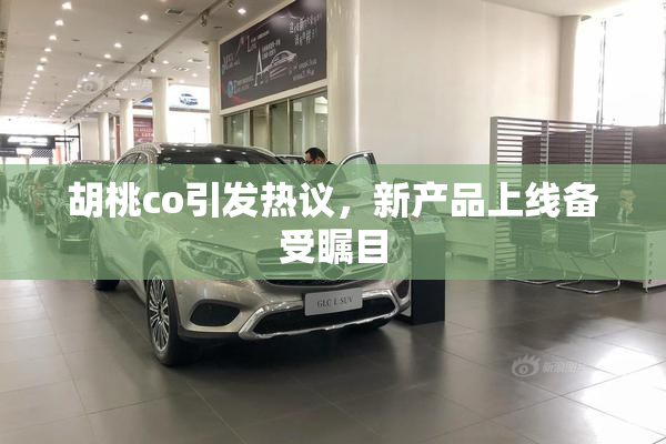 胡桃co引发热议，新产品上线备受瞩目