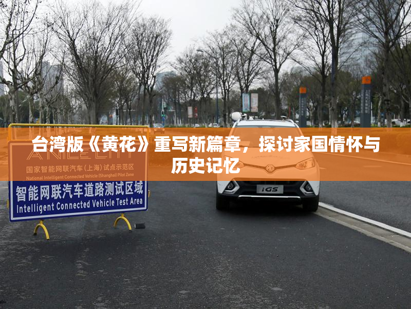 台湾版《黄花》重写新篇章，探讨家国情怀与历史记忆
