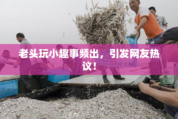 老头玩小趣事频出，引发网友热议！