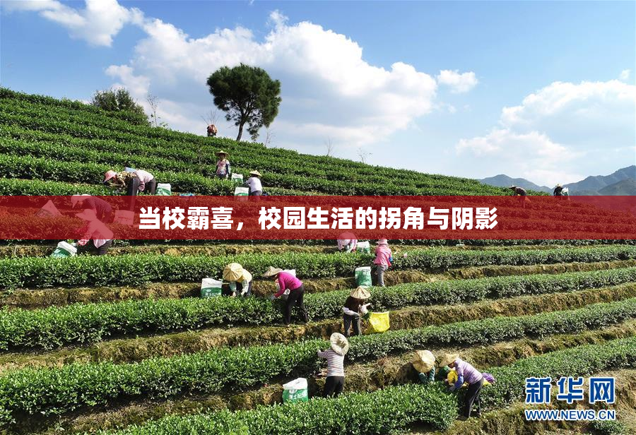 当校霸喜，校园生活的拐角与阴影
