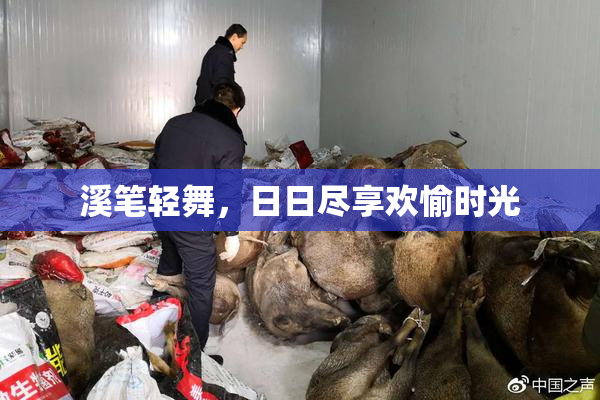 溪笔轻舞，日日尽享欢愉时光