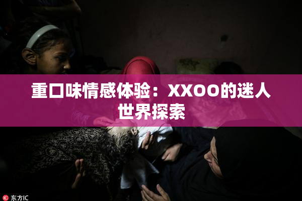 重口味情感体验：XXOO的迷人世界探索
