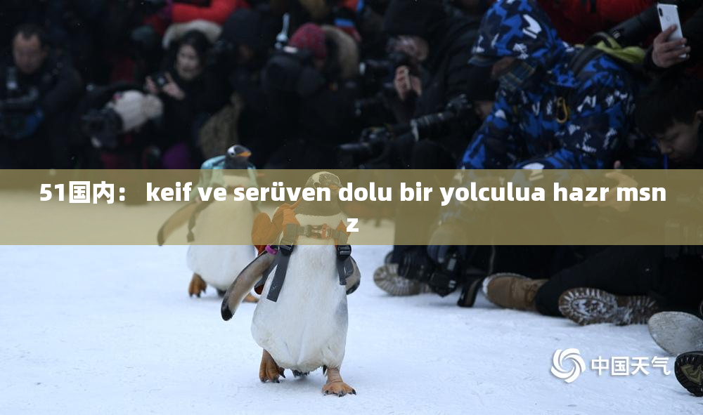51国内： keif ve serüven dolu bir yolculua hazr msnz