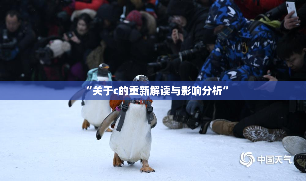 “关于c的重新解读与影响分析”