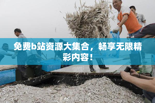 免费b站资源大集合，畅享无限精彩内容！