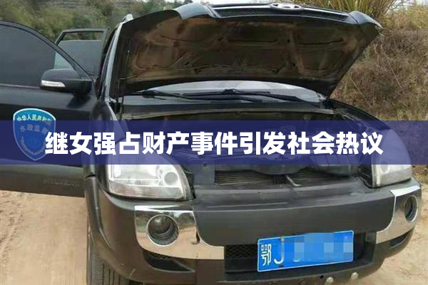 继女强占财产事件引发社会热议
