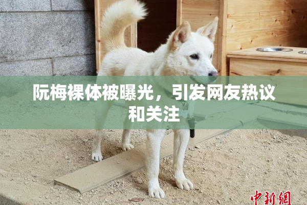 阮梅裸体被曝光，引发网友热议和关注