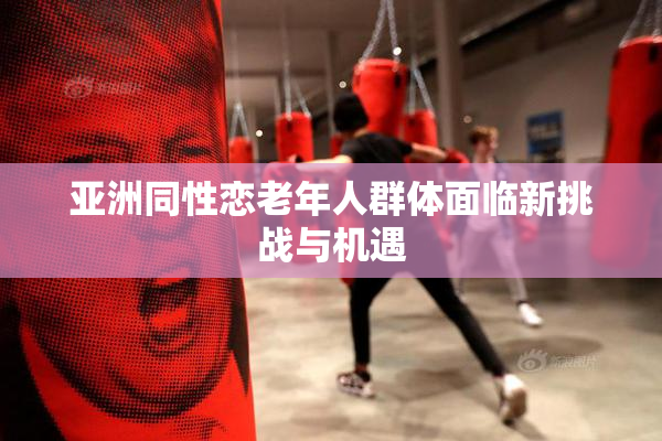 亚洲同性恋老年人群体面临新挑战与机遇