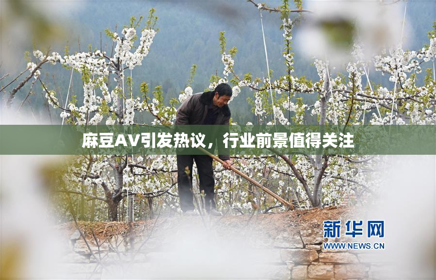 麻豆A∨引发热议，行业前景值得关注