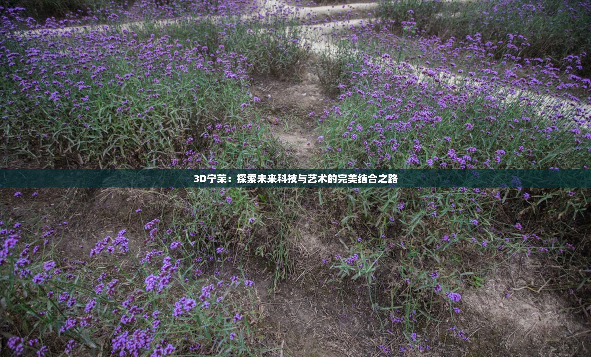 3D宁荣：探索未来科技与艺术的完美结合之路
