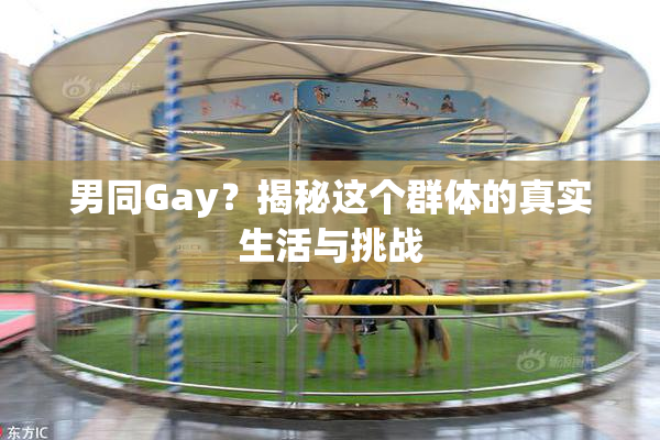 男同Gay？揭秘这个群体的真实生活与挑战
