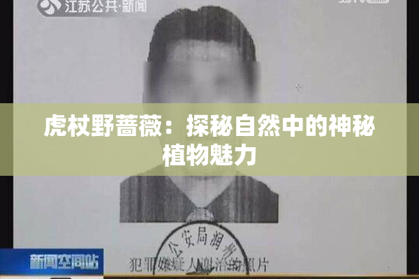虎杖野蔷薇：探秘自然中的神秘植物魅力