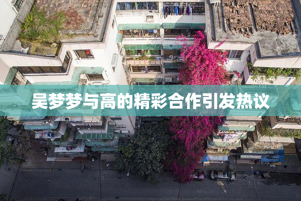 吴梦梦与高的精彩合作引发热议