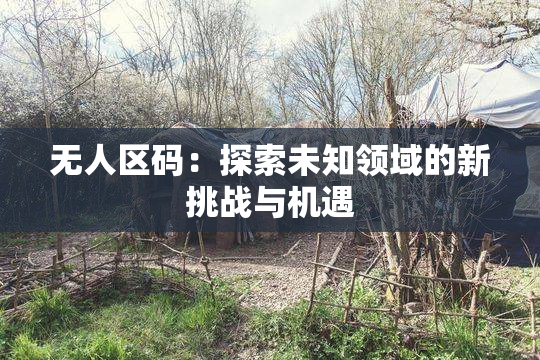 无人区码：探索未知领域的新挑战与机遇