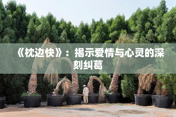 《枕边快》：揭示爱情与心灵的深刻纠葛