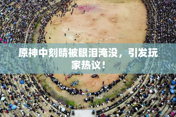 原神中刻晴被眼泪淹没，引发玩家热议！