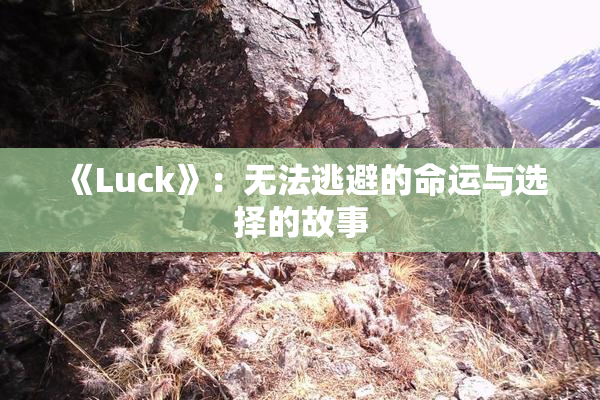 《Luck》：无法逃避的命运与选择的故事