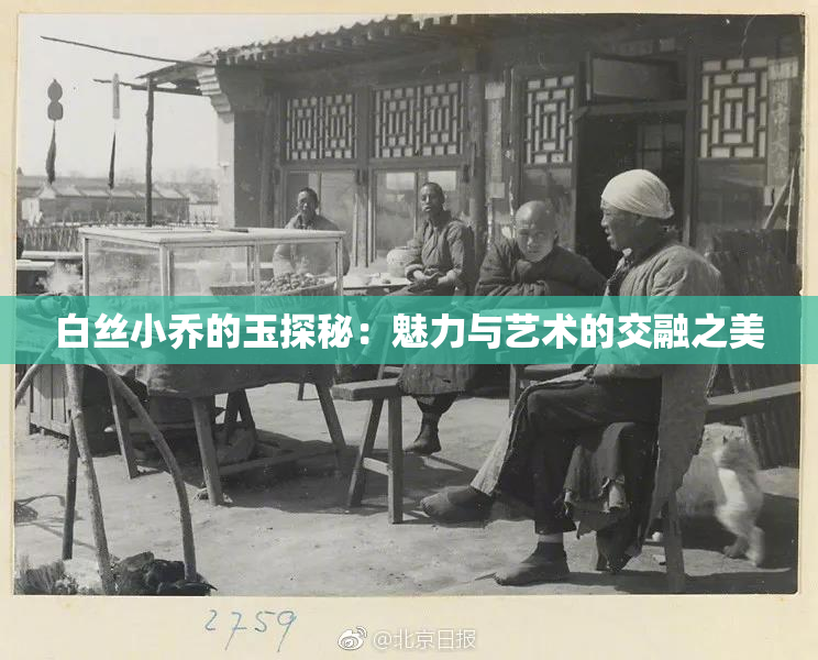 白丝小乔的玉探秘：魅力与艺术的交融之美