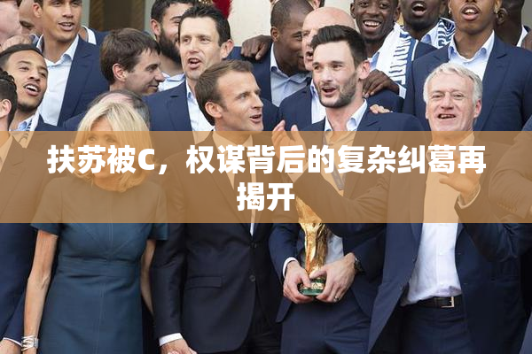 扶苏被C，权谋背后的复杂纠葛再揭开