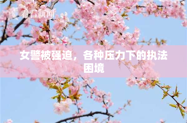 女警被强迫，各种压力下的执法困境