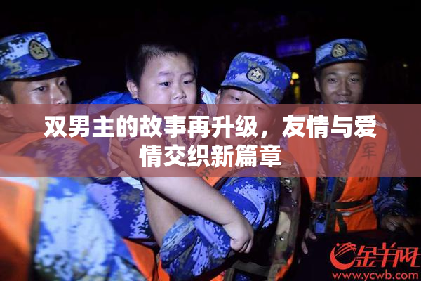 双男主的故事再升级，友情与爱情交织新篇章